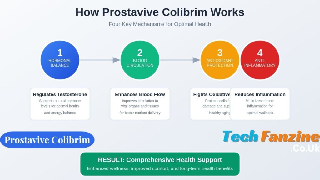 Prostavive Colibrim