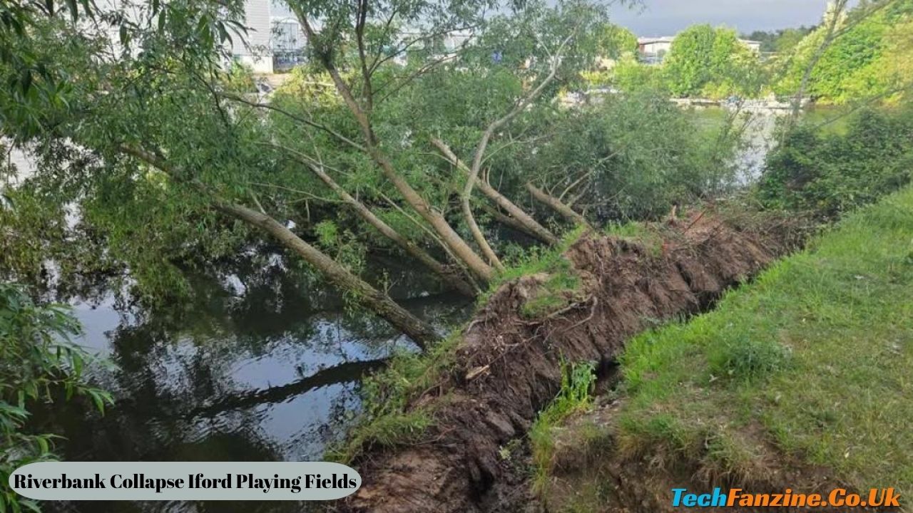 Riverbank Collapse Iford Playing Fields Safety Concerns After Strong Winds