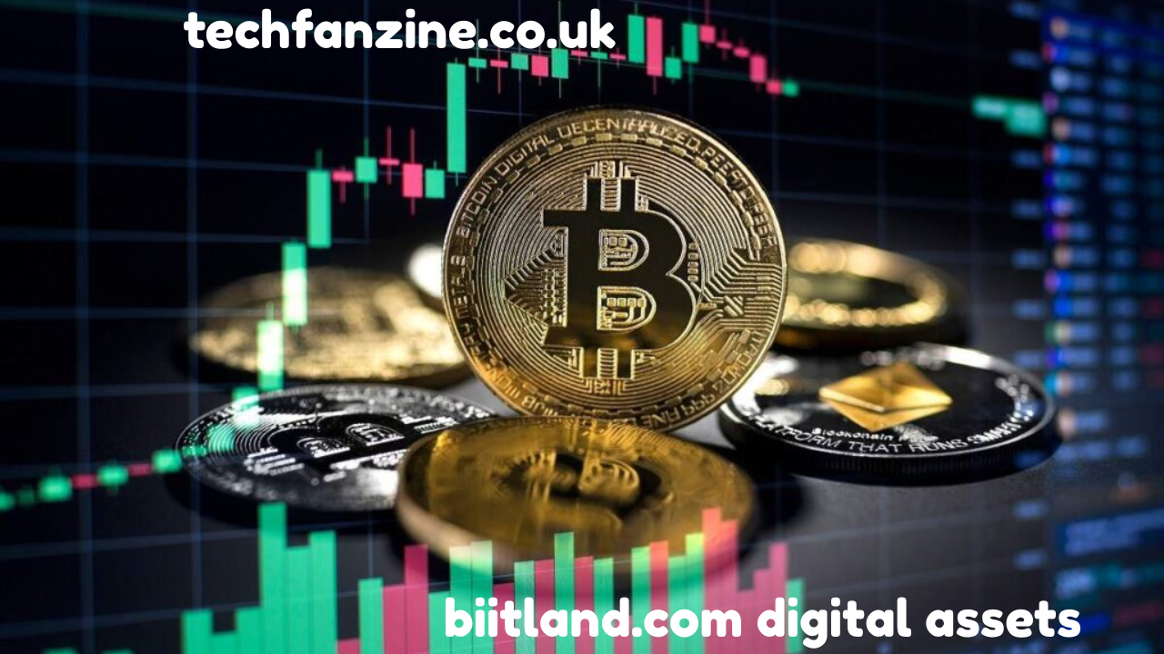 biitland.com digital assets ?? Explained Clearly