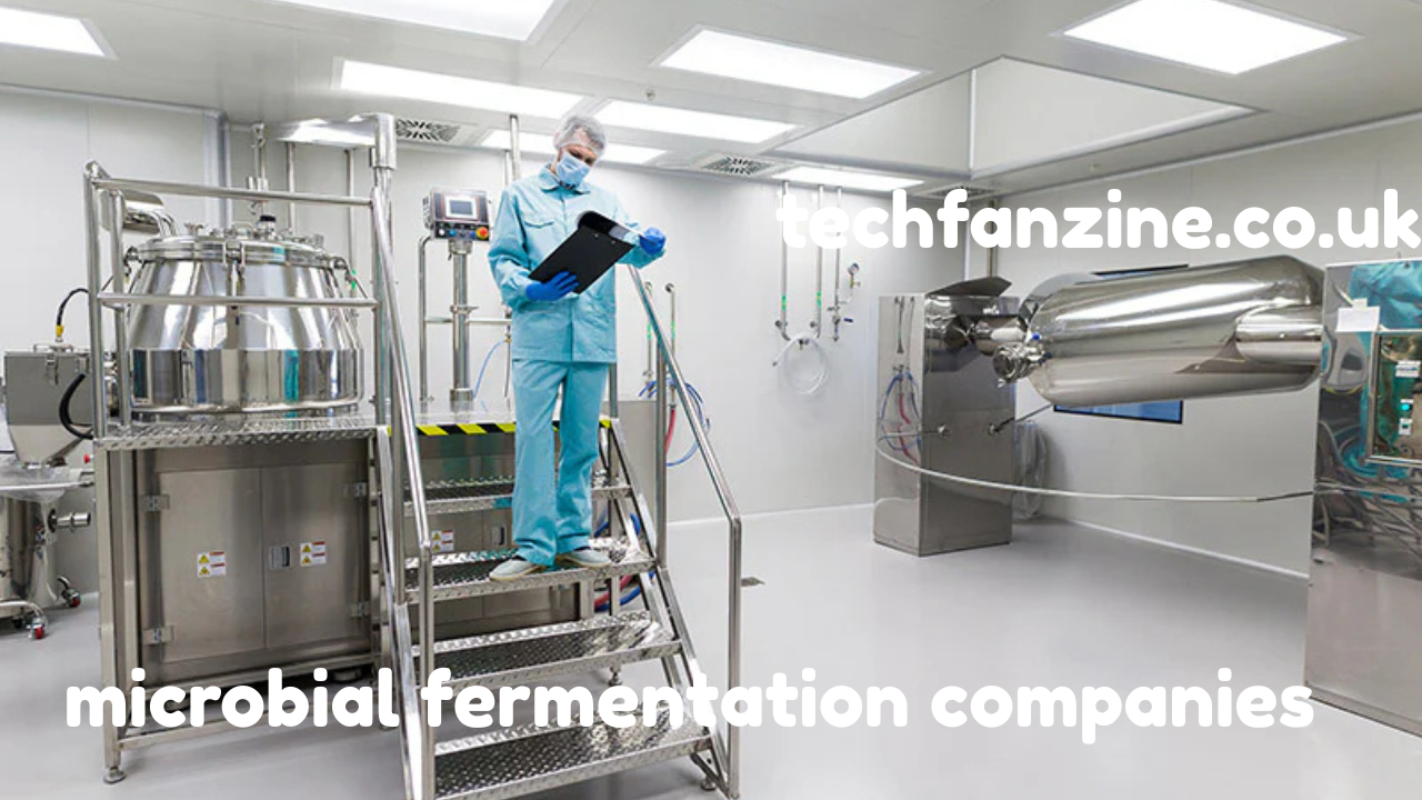 Microbial Fermentation Companies, Innovation, and Industrial Transformation — A Complete Guide