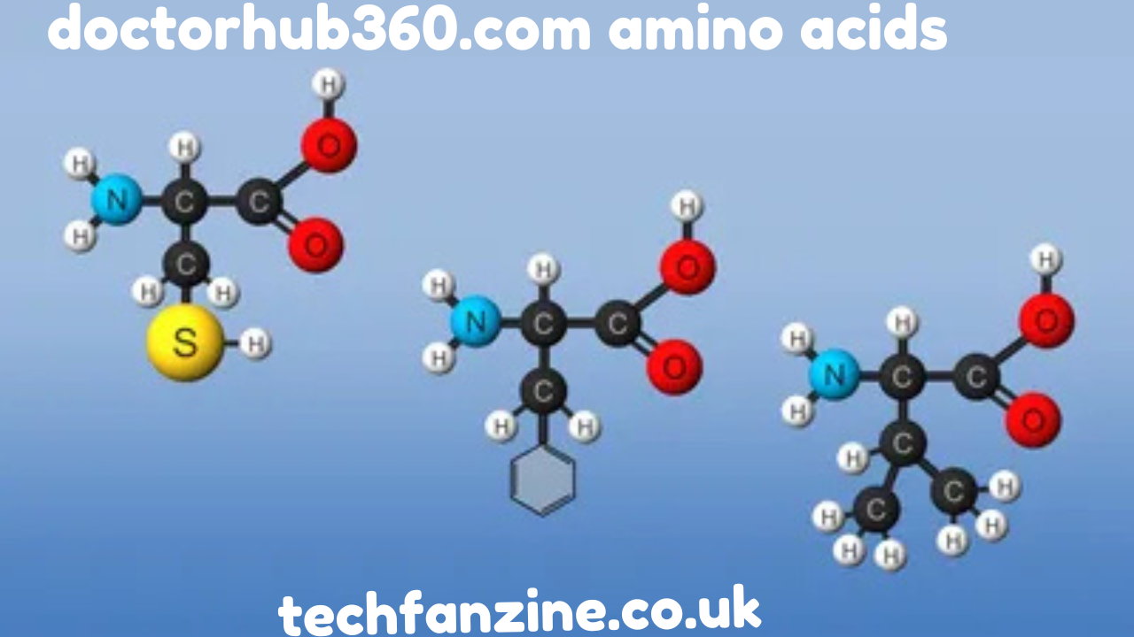 doctorhub360.com Amino Acids, ?? – Comprehensive Insights into Their Role and Benefits