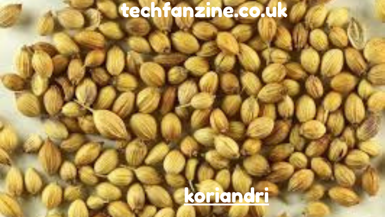 Koriandri,  A Complete Insight into Koriandri dhe Përfitimet e Tij