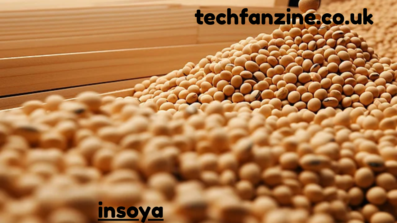 Insoya,  A Complete Overview