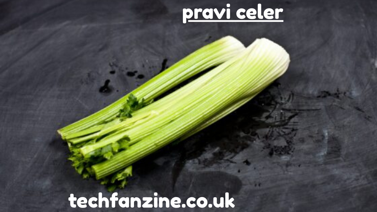 Pravi Celer, A Complete Guide to This Unique Vegetable