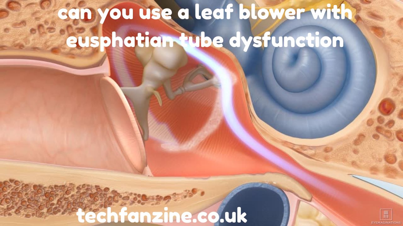 Can You Use a Leaf Blower With Eusphatian Tube Dysfunction